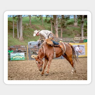 RODEOS, HORSES, COWBOYS Sticker